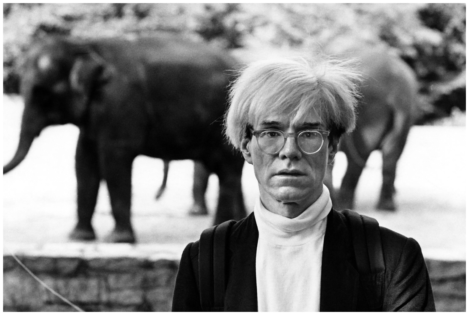 andy warhol at the bronx zoo june 12 1983 photo ron galella