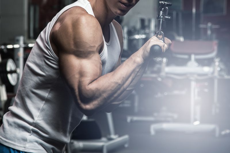 Best Triceps Workout