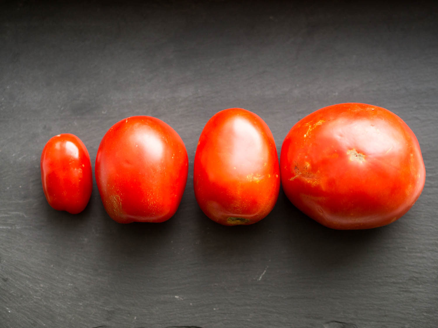 20140818 tomato sauce danielgritzer 1