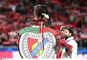 Όταν κάθεται η σκόνη