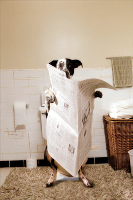 Μπορεί να νιώθεις άνετος όταν κάθεσαι με τα πόδια σε γωνία 90 μοιρών στην τουαλέτα διαβάζοντας εφημερίδα, όμως το έντερό σου έχει άλλη άποψη. 