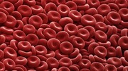Δεν υπάρχουν μόνο 4 διαφορετικοί τύποι αίματος, αλλά 29.