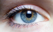 Το ανθρώπινο μάτι μπορεί να διακρίνει τουλάχιστον 10 εκατομμύρια χρώματα, όμως ο εγκέφαλός μας δεν μπορεί να τα συγκρατήσει. 