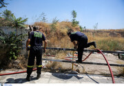 Οι καλοκαιρινές πυρκαγιές στην Ελλάδα είναι κανόνας