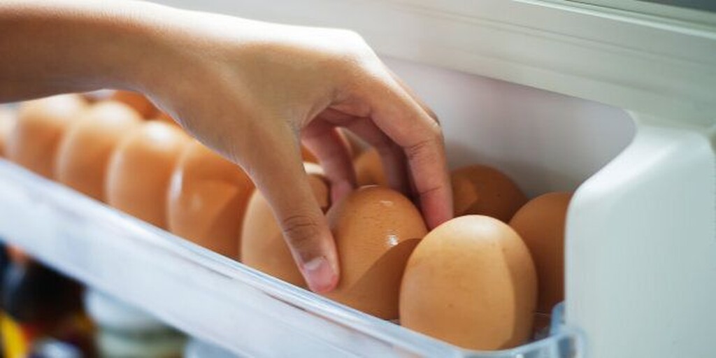 Όλοι ξέρουν πως ο μεγάλος κίνδυνος των αβγών είναι το βακτήριο Salmonella. Σε ποιες περιπτώσεις μπορούμε να βρούμε πιο εύκολα αυτό το βακτήριο;