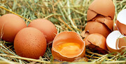 Σύμφωνα με την Marianne Gravely, εμπειρογνώμονα για την ασφάλεια τροφίμων, μας συμβουλεύει να μην κρατάμε τα αβγά εκτός ψυγείου για πάνω από δύο ώρες. Τέλος…