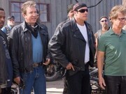 wild hogs