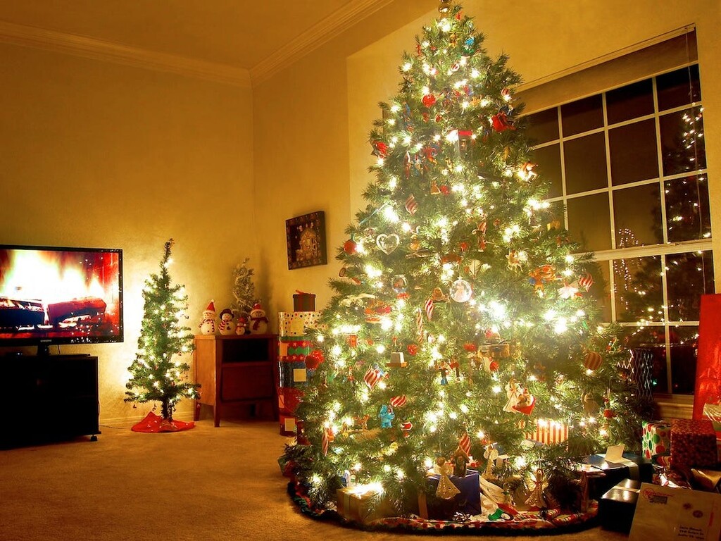 Το χριστουγεννιάτικο δένδρο καθιερώθηκε τον 8ο αιώνα από τον Άγιο Βονιφάτιο, 
