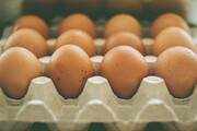 Αβγά: Η πρωτεΐνη που χρειάζεσαι.