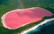 Αυστραλία – Η ροζ λίμνη