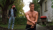 Stir of Echoes