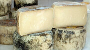 Αρσενικό

Όχι απλά τυρί της Νάξου, αλλά της ορεινής Νάξου με τα ζώα να εκτρέφονται στη ζώνη αυτή και με το γάλα να είναι κατσικίσιο, πρόβειο ή αγελαδινό. Το αρσενικό είναι σκληρό τυρί, έχει μία νότα αλμύρας και χάρη στο ελαιόλαδο με το οποίο αλείφεται κατά την διάρκεια της ωρίμανσής του, έχει υπέροχη μυρωδιά. Μπορείς να μυρίσεις επίσης βότανα ή και ξηρούς καρπούς, ενώ η Νάξος έχει κάνει αίτηση στην Ευρωπαϊκή Ένωση για αναγνώριση προστατευόμενης ονομασίας.
