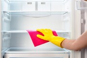 Πώς θα το καθαρίσεις εξωτερικά
Δεν φτάνει μόνο να φροντίσεις την εσωτερική υγιεινή του ψυγείου. Θα πρέπει να λάμψει και εξωτερικά:

Κάθε υλικό της εξωτερικής επιφάνειας (ανοξείδωτο, πλαστικό κλπ.) καθαρίζεται με ζεστή σαπουνάδα (με υγρό απορρυπαντικό για τα πιάτα ή πράσινο σαπούνι). Ξεπλένεις καλά και σκουπίζεις με ένα μαλακό πανί.

Βγάζεις τη συσκευή από το ρεύμα και κάνεις ένα γρήγορο σκούπισμα με ηλεκτρική σκούπα στο πίσω μέρος του ψυγείου. Η σκόνη έχει την τάση να συσσωρεύεται σε αυτό το σημείο αυξάνοντας τη θερμοκρασία και την ενεργειακή κατανάλωση της συσκευής.
