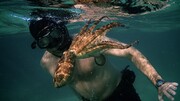 Όσκαρ Καλύτερou Ντοκιμαντέρ Μεγάλου Μήκους: «My Octopus Teacher»