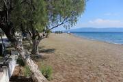 Ακτή Νηρέως
