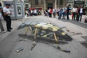 Όταν θα δείτε αυτά τα τρισδιάστατα graffiti θα κολλήσετε στην οθόνη