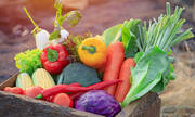Λαχανικά ...

Ακριβώς όπως και τα φρούτα, έτσι και τα λαχανικά είναι πλούσια σε βιταμίνες και θρεπτικά συστατικά, ενώ οι φυτικές ίνες που περιέχουν ικανοποιούν το αίσθημα του κορεσμού. Ιδανικές επιλογές είναι το σπανάκι (μόλις 7 θερμίδες σε μια κούπα), η γλυκοπατάτατα (103 θερμίδες η κούπα) και τα λαχανάκια Βρυξελλών (56 θερμίδες η κούπα).