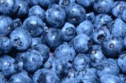 Blueberries
Αυτά να νόστιμα μπαλάκια είναι τρομερή πηγή βιταμινών και μάλιστα σε συμπυκνωμένη μορφή. Μια χούφτα από δαύτα έχουν όση θρεπτική αξία έχει μια τσάντα φρούτα και ταυτόχρονα γλιτώνεις ζάχαρη και θερμίδες. 
