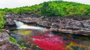 Ο ποταμός των Πέντε Χρωμάτων στην Κολομβία
