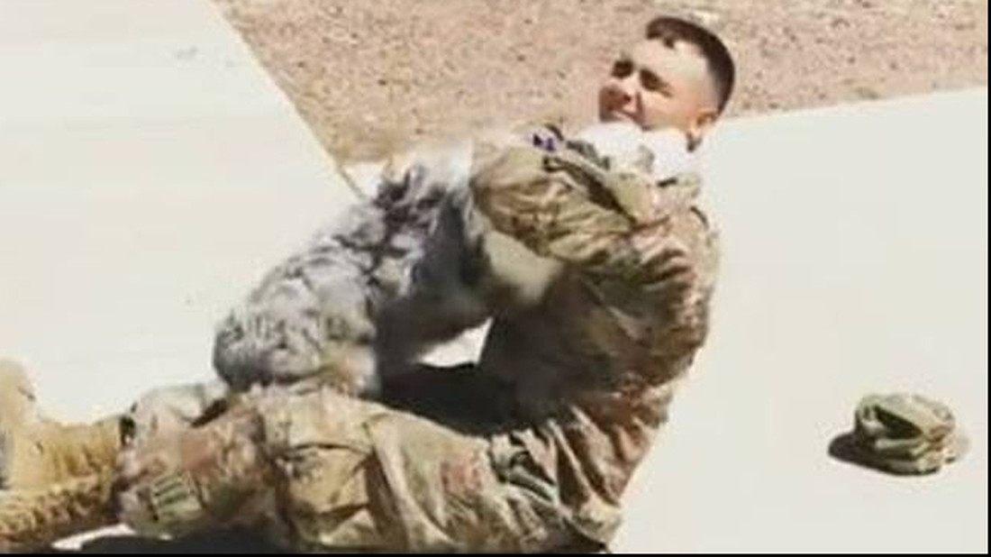 Σκυλιά κάνουν οπαδικό κορεό για να υποδεχτουν το αφεντικό τους που γύρισε από στρατό