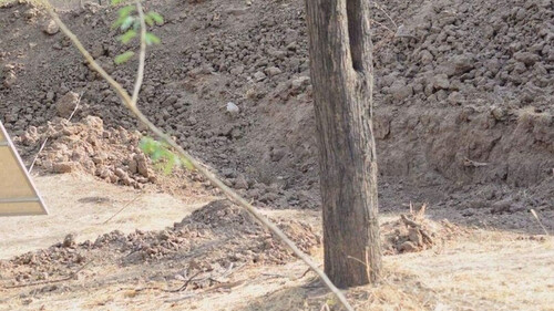 Η φωτογραφία που τρελαίνει το διαδίκτυο: Μπορείς να βρεις τη λεοπάρδαλη; (pics)