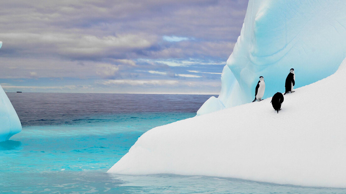 Πώς θα σου φαινόταν αν για ένα μήνα έκανες διακοπές στην Ανταρκτική;