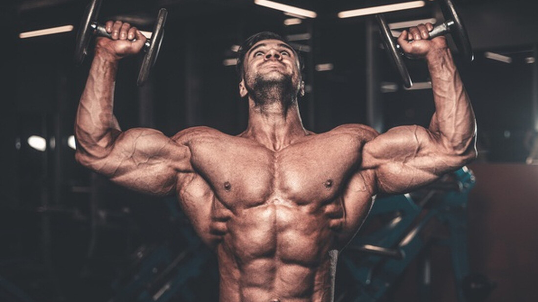 Ποιος είναι ο πιο δυνατός μυς στο σώμα μας;