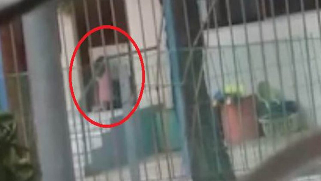 Στην Ελλάδα το σύστημα είναι πιο δυνατό και από το γονιό
