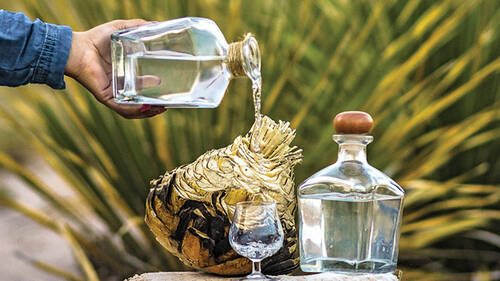 Sotol: Ένα ιδιαίτερο ποτό από το Μεξικό σε περιμένει να το ανακαλύψεις