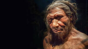 Έρευνα: Οι άνθρωποι και οι Neanderthals έζησαν μαζί πριν από 50.000 χρόνια