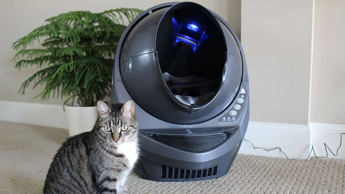 Γιατί αυτό το ρομπότ είναι ό,τι καλύτερο για έναν εργένη που έχει γάτες;